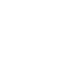 Cars Washed and Detailed